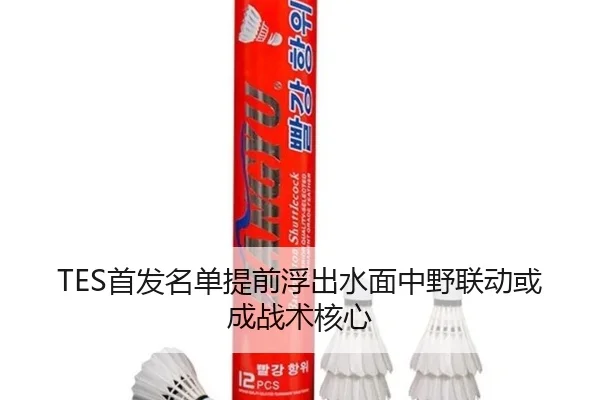TES首发名单提前浮出水面中野联动或成战术核心